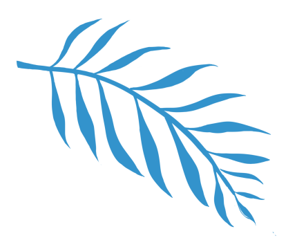 175837iv6b6cm888mwmbb7.png