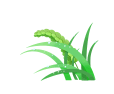 103339jhmpaccfampuahuu.gif