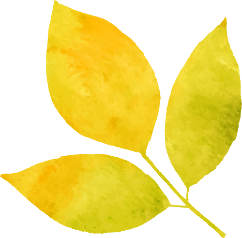 174043yetlvjtddjzlttpl.png