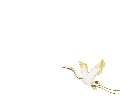 183953uyxhlncu3nnhdcyt.gif