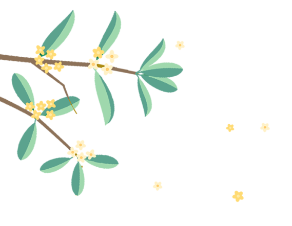 180445m19k5dx5xn87pdmt.png
