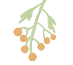 175738dkpptxgpvzhwvhmp.png