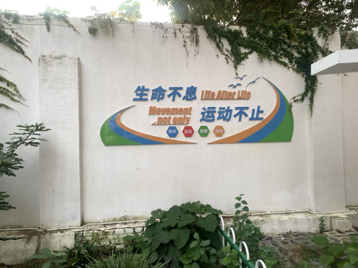 092949jbmymmjy3zjsm3m6.png