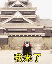 171548vzzknwnlh68k8ihn.gif