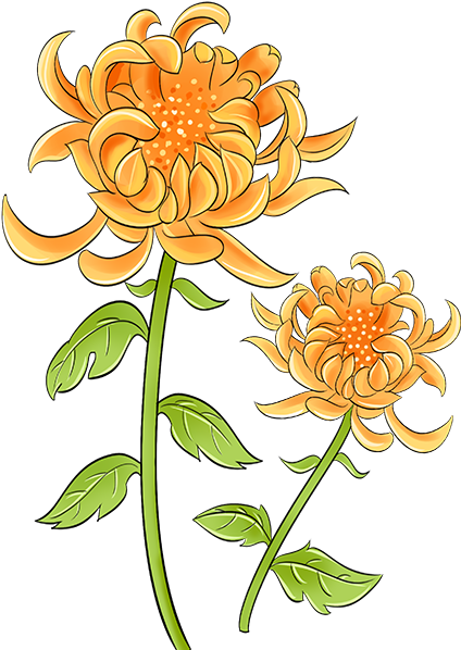 164822npfde0ameuvyfbp5.png