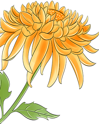 164822bmcr66izjj71rzjl.png