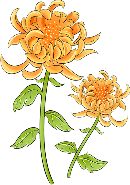 164824gn49rvzzmv379v32.png