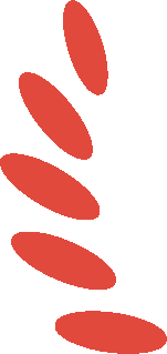 165645t0q11ikniro5vm17.png