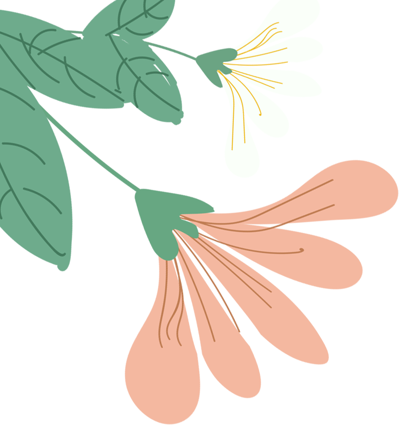 140508q4pr7eetuzcye7sx.png