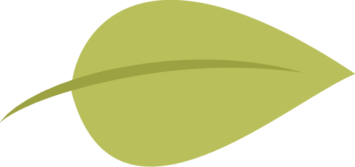 101714yzzpi45qm05psppg.png