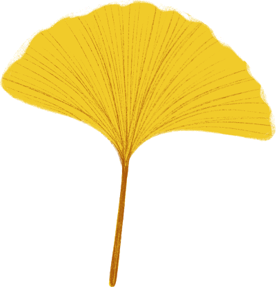 101730p319qocv1otnrnfc.png