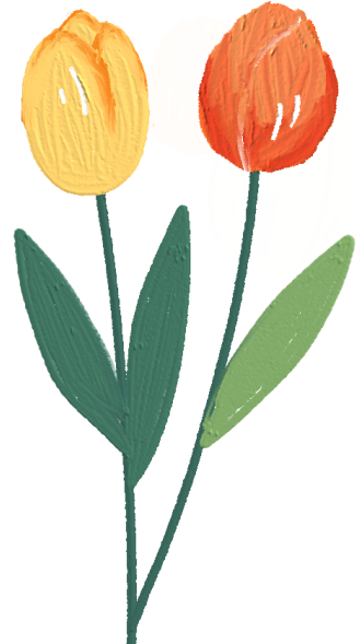 180133uzs51wcwsx1em3aw.png