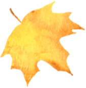 171303wa7cj25pm0r2fr32.png