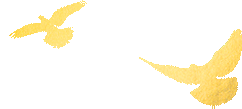 140338y64ps82o1n4dnxw2.gif
