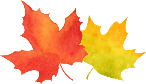 140423c9tb2bi9400765i2.png