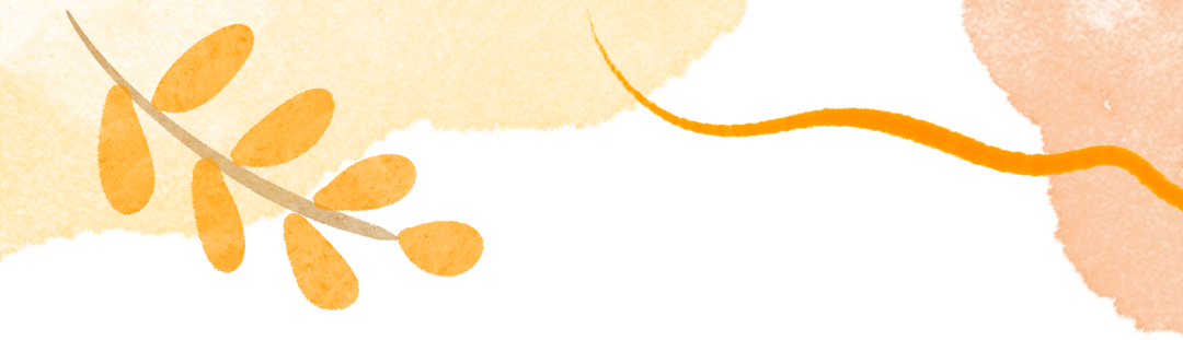 164945k5r2ork053yf2zl3.png