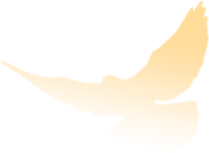 162112umnfwk79nmmaymfa.png