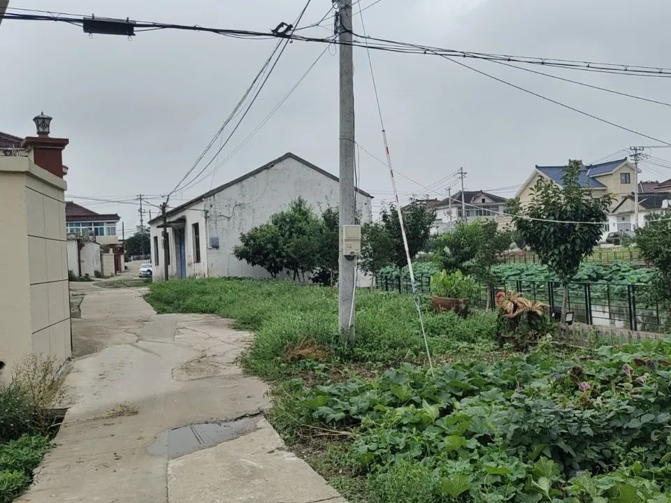 131148qex16rkkj4l6zobe.jpeg