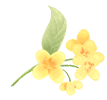 132652tk2yyo88ye33pyih.gif