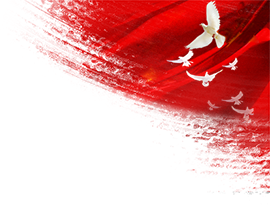 142512ng9gd7glzhsxl7hl.png