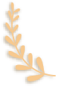 153350u2yz27obbsqo4nx6.png