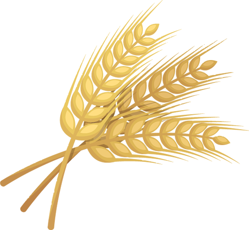 141458f8co9bin7isbogii.png