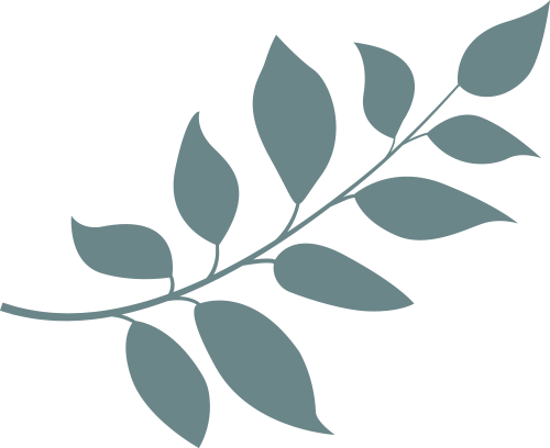 155516debeqoqpx77bqpyv.png