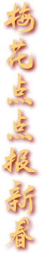 165447w55ty6w6jn6oo6pw.png