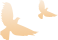 093845rvgiubm78wwanln3.png