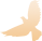 093847zquh8cy2zhru5ppp.png