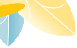 141348ydi2rin9e4974p9c.png