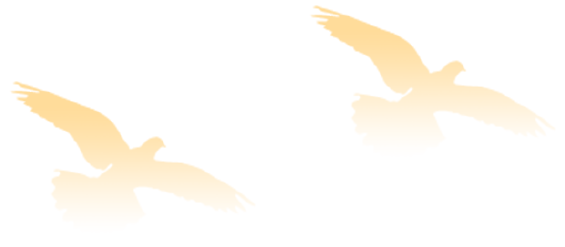 171916j9ab0ct0rtbskd70.png