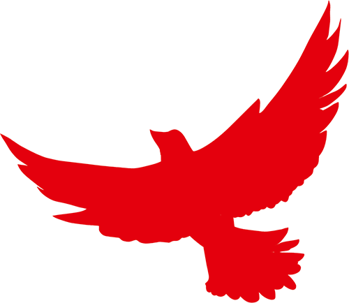 173414o3xtybupn3etb57y.png