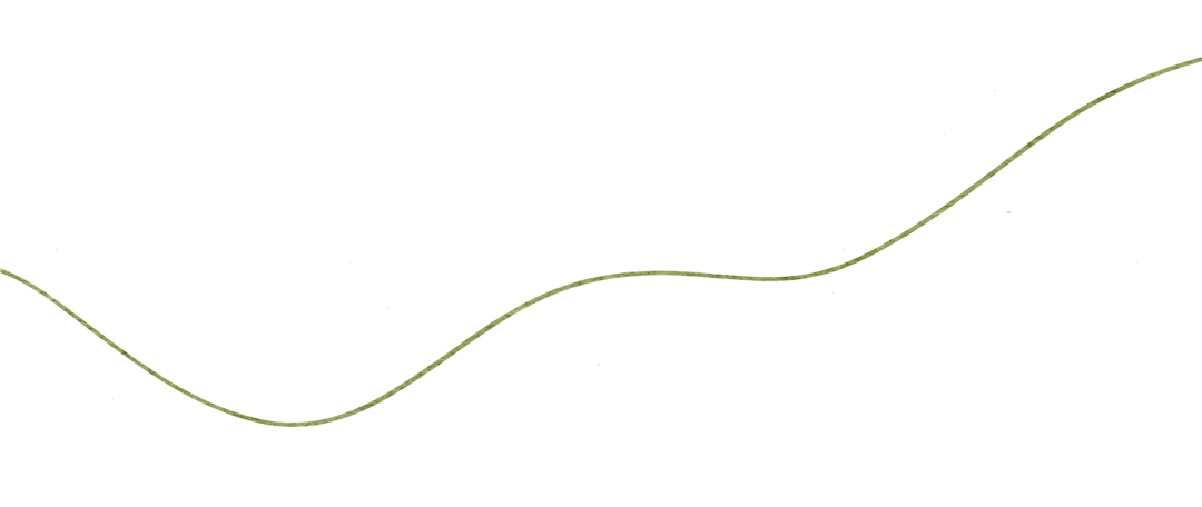 161509afcuuw1tn3nzqk1b.png