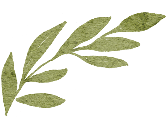 161509tksrv6rnxzxfn55a.png