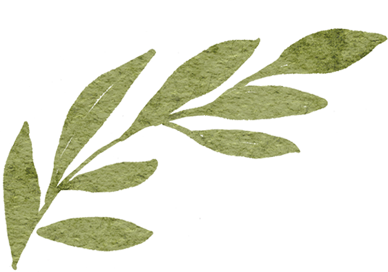 161513n6duxlozuymxohxa.png