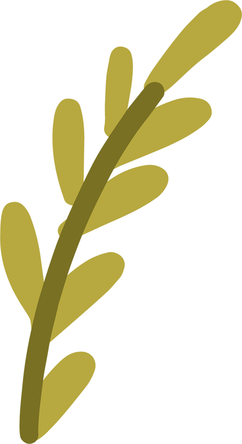 154232qls8ffse7tfbflpt.png