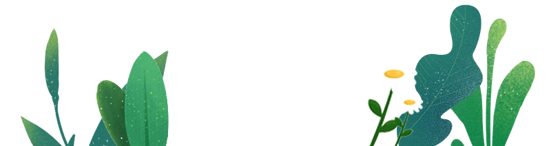 134513je01nspzusu5pu9i.png
