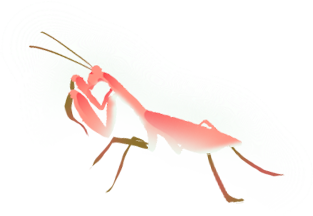 171534fxp4m4nyiam8uyfa.png