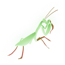 171534mpnm2i2j7pjjimt3.png