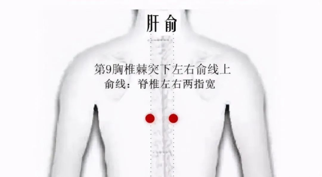 171556ieokmqcfqcwdsnc9.jpeg