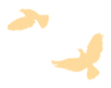 114603dp0i3vqd5a7d0i4s.gif
