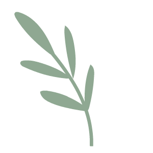 114152o5fqp5qq5cgzk46w.gif