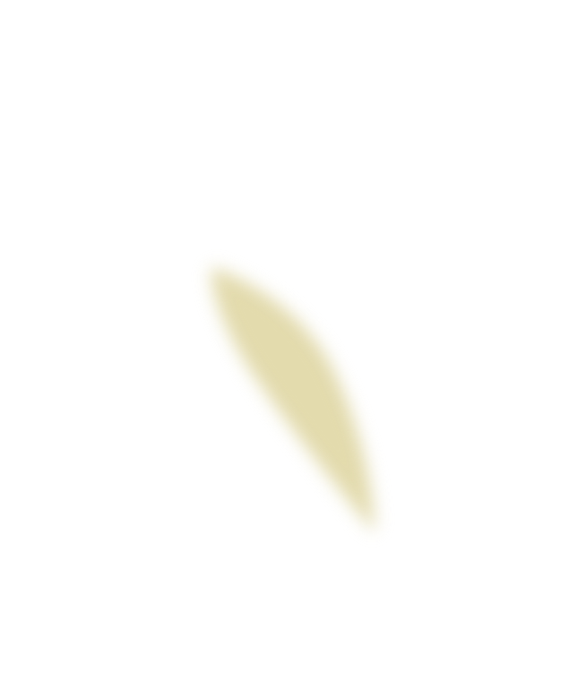 114152mllpmwmhhtftzwwp.png