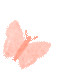 145635q448j4v4yy7z4lba.gif
