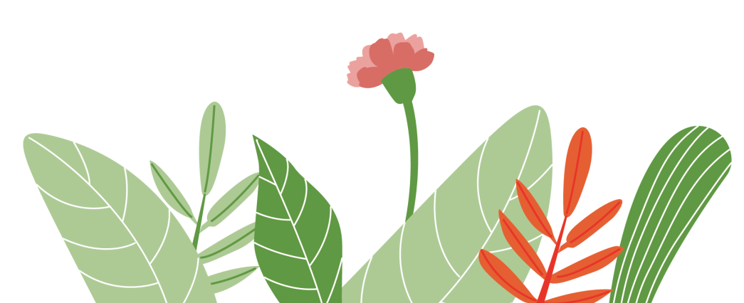 150631n21dnurygulrqk2t.png
