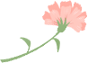 143439w0ekekw2ggk242sg.png