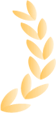 170000dpp69b6cglkpg065.png