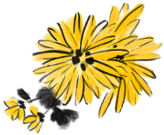 175912yekxfvxbvxobxokw.png