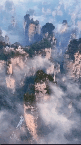 153752bcq4izyqw499qy8e.gif